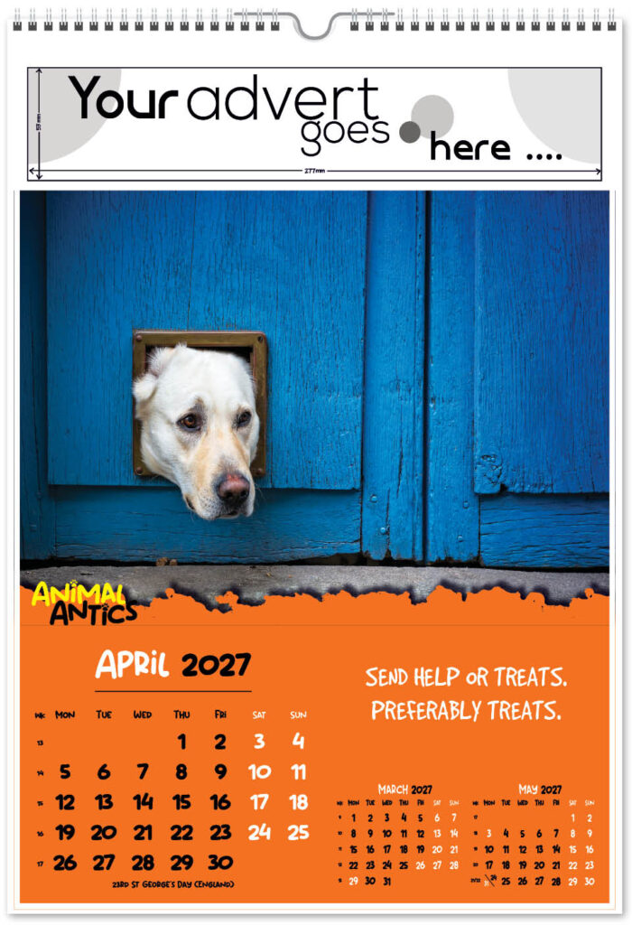 animal-antics-digi-portrait-2027-4