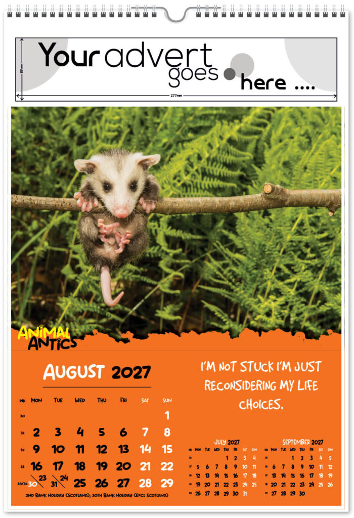 animal-antics-digi-portrait-2027-8