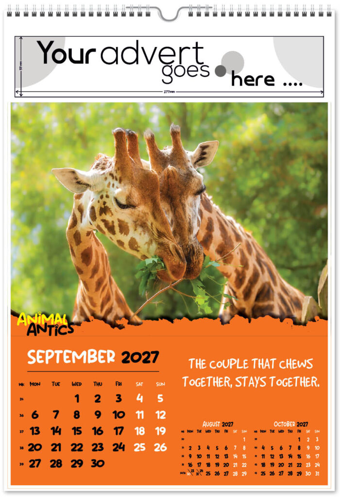 animal-antics-digi-portrait-2027-9