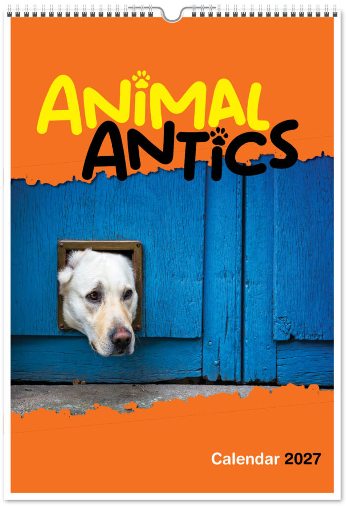 animal-antics-digi-portrait-2027-cover