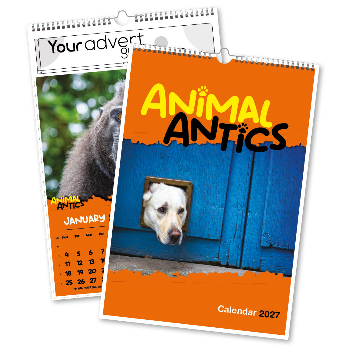 Animal Antics A3 DiGi Wall Calendar