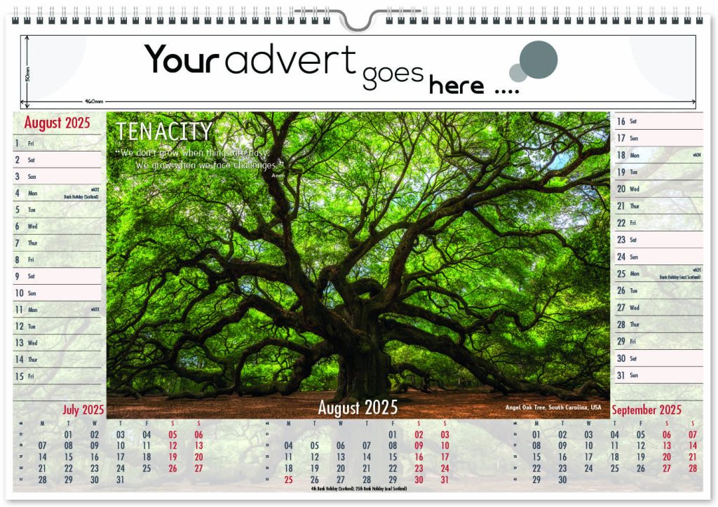 Inspire Landscape Wall Calendar 2025 Think Promote