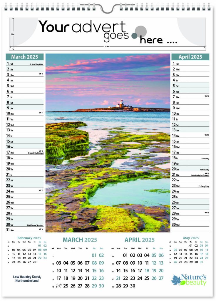 Nature's Beauty Memo Wall Calendar 2025 Think Promote