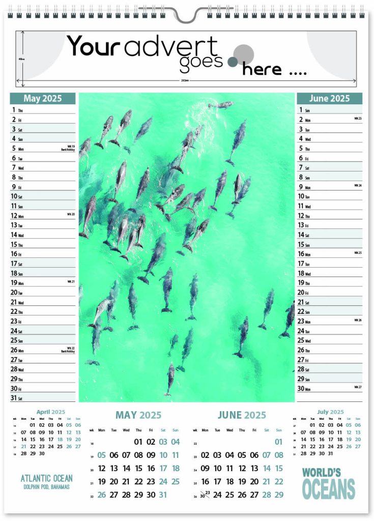 World's Oceans Memo Wall Calendar 2025 Think Promote