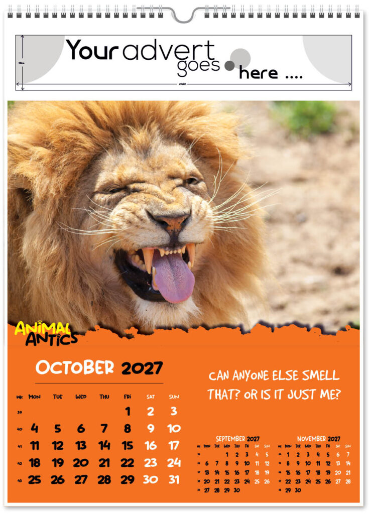 animal-antics-portrait-2027-10