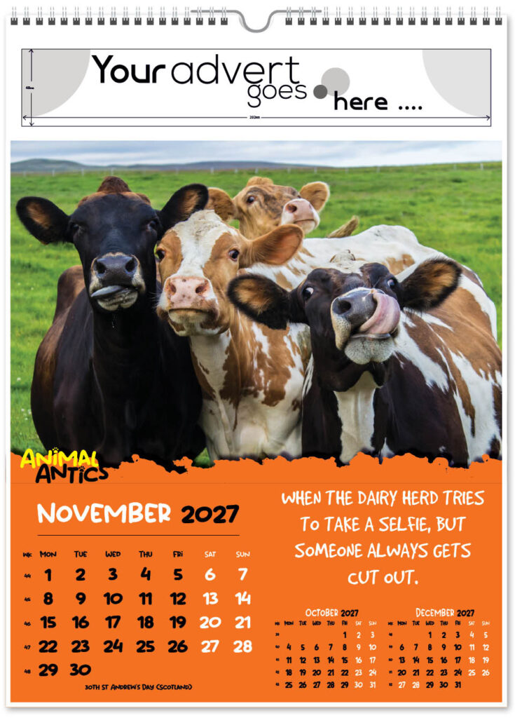 animal-antics-portrait-2027-11