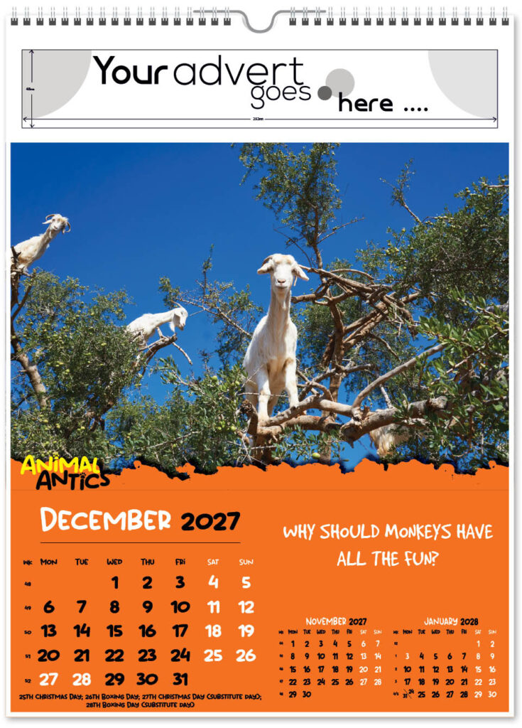 animal-antics-portrait-2027-12