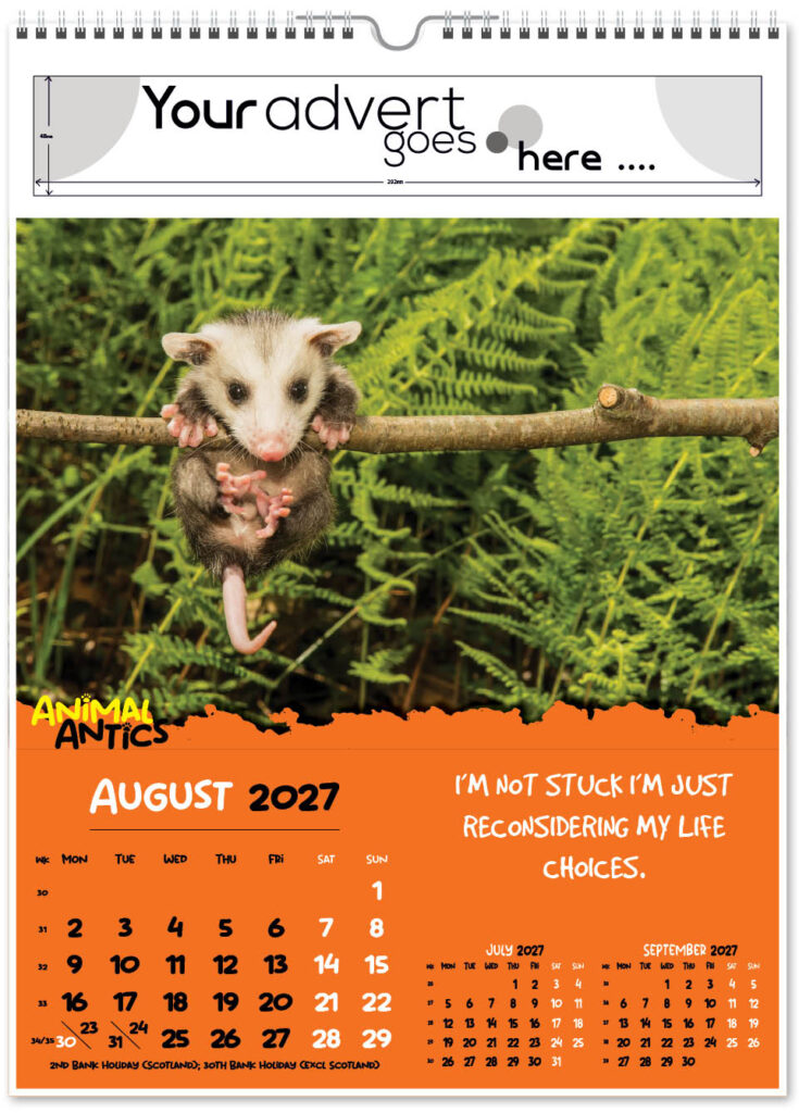 animal-antics-portrait-2027-8