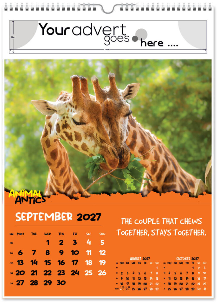 animal-antics-portrait-2027-9