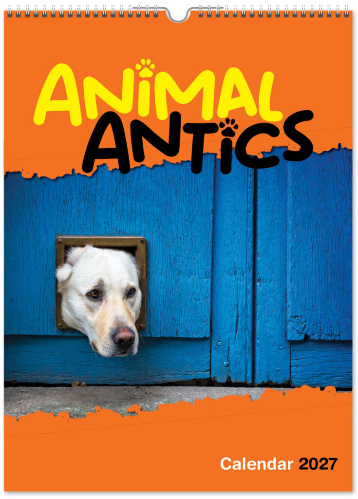 animal-antics-portrait-2027-cover