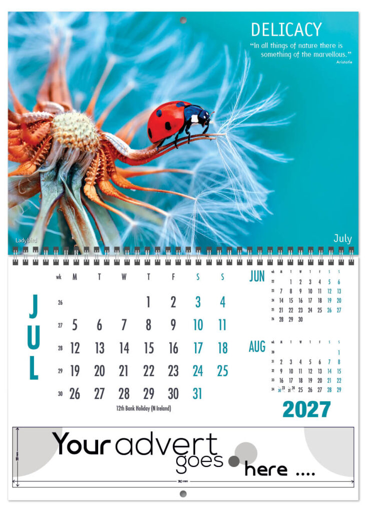 inspire-deluxe-central-wiro-2027-7