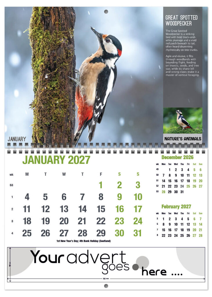 natures-animals-deluxe-central-wiro-2027-1