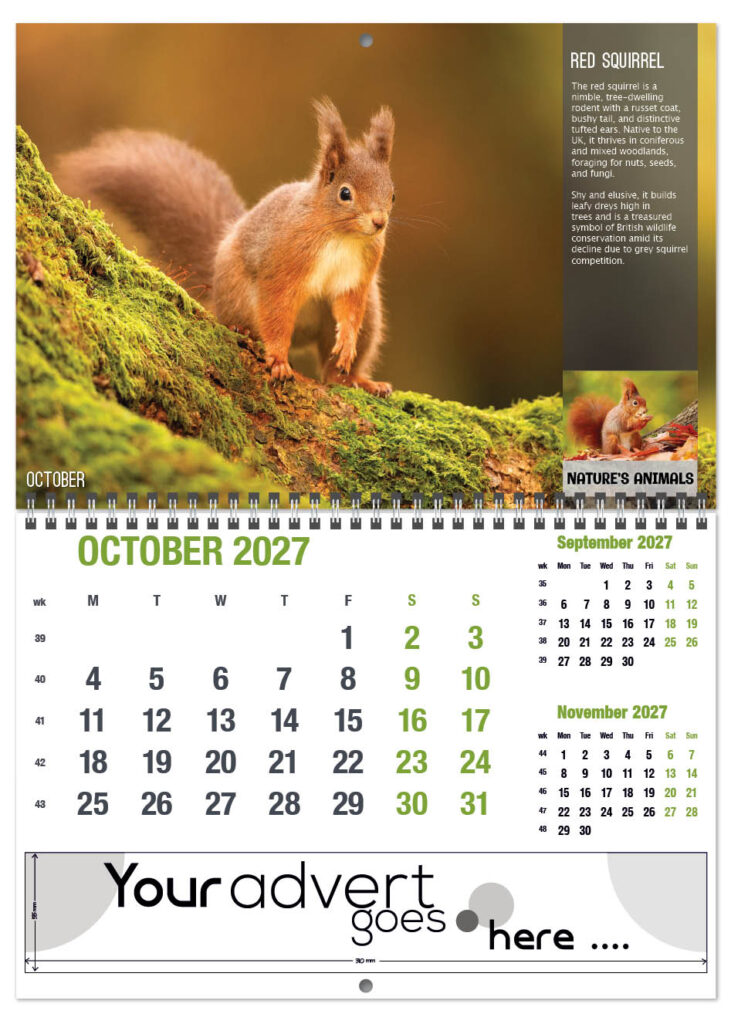 natures-animals-deluxe-central-wiro-2027-10