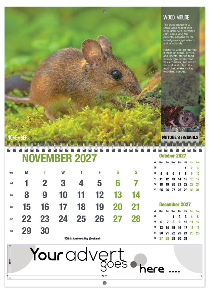 natures-animals-deluxe-central-wiro-2027-11