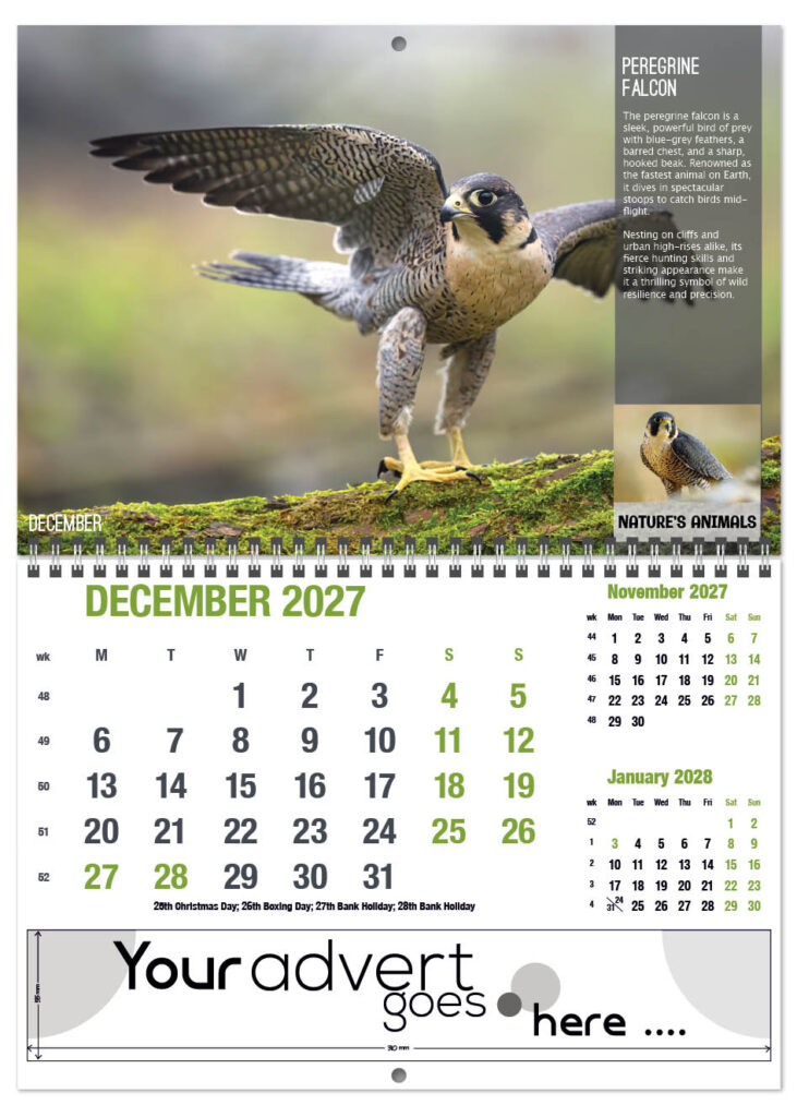 natures-animals-deluxe-central-wiro-2027-12