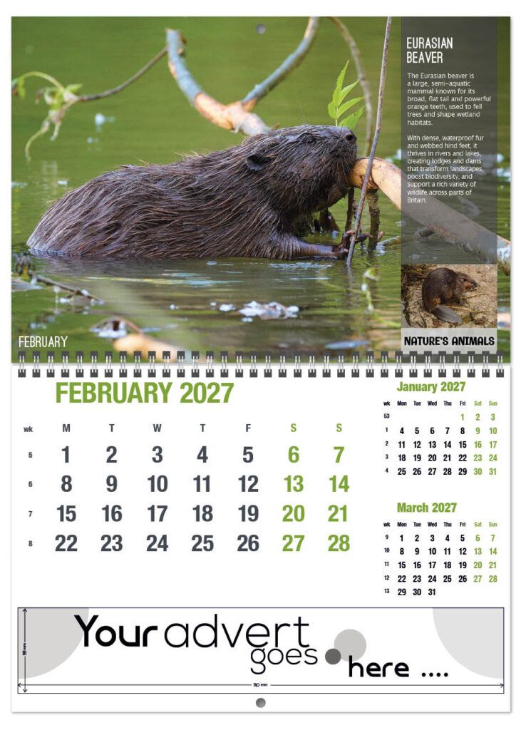 natures-animals-deluxe-central-wiro-2027-2