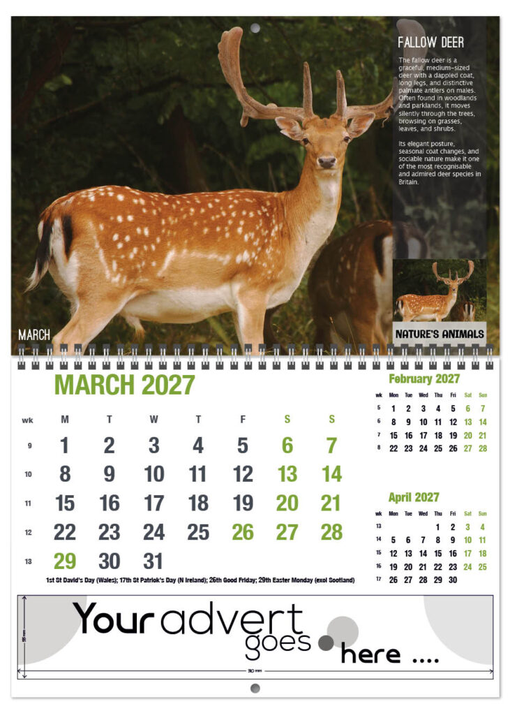 natures-animals-deluxe-central-wiro-2027-3