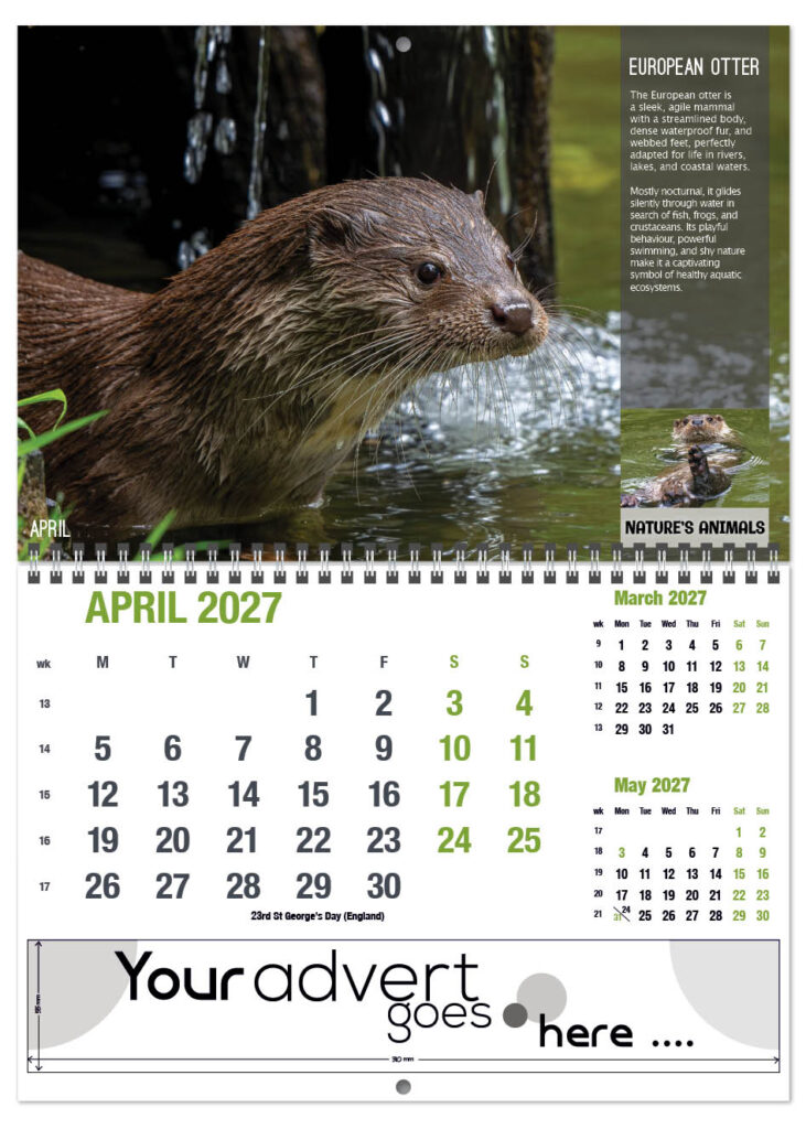 natures-animals-deluxe-central-wiro-2027-4