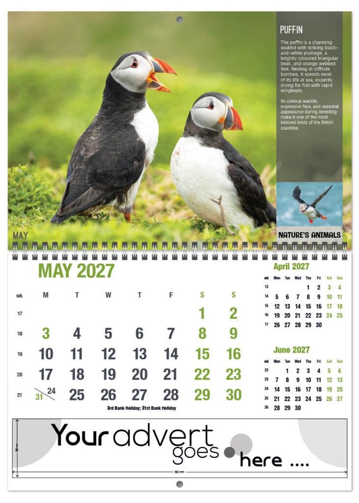 natures-animals-deluxe-central-wiro-2027-5