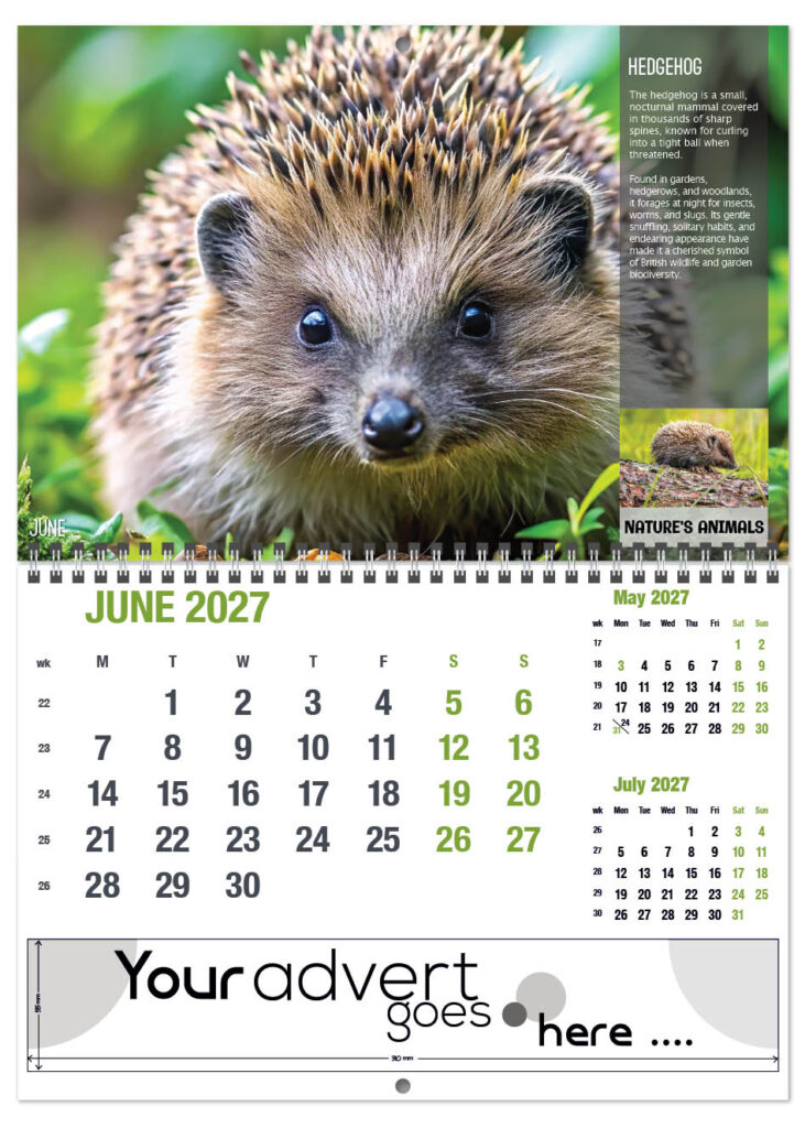 natures-animals-deluxe-central-wiro-2027-6