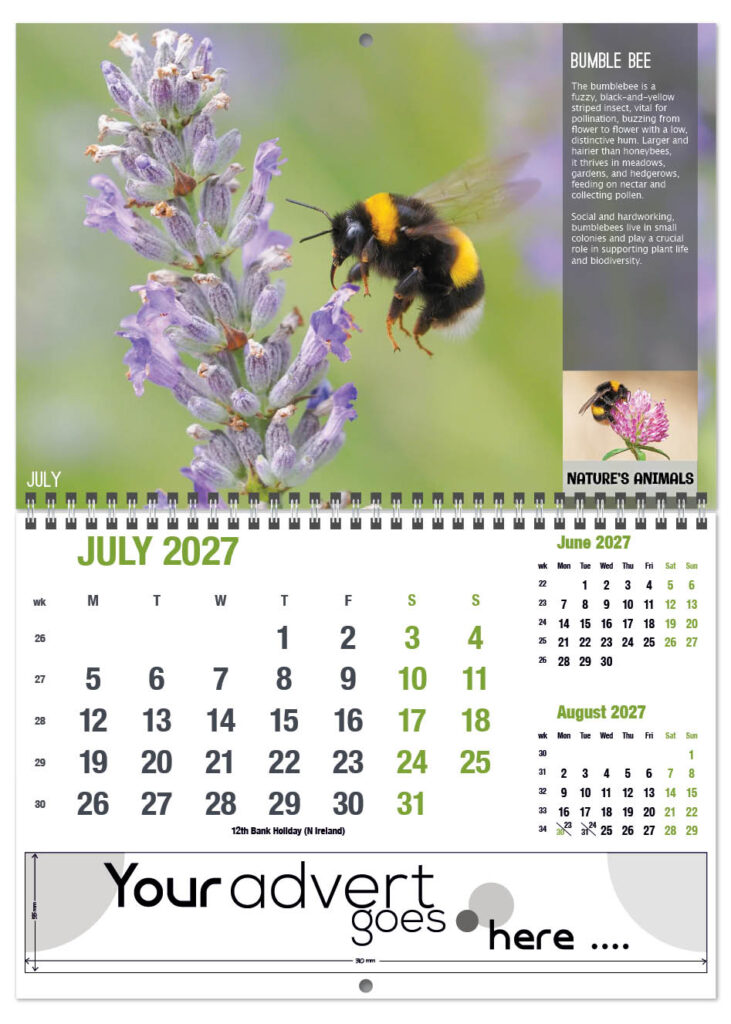 natures-animals-deluxe-central-wiro-2027-7