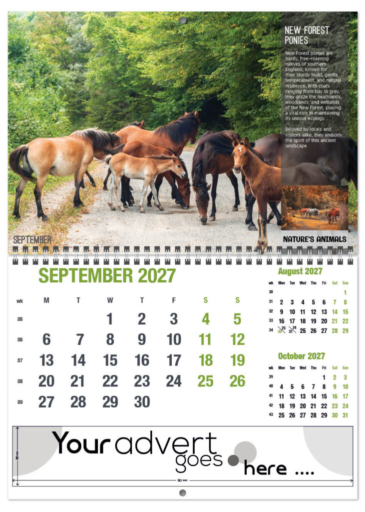 natures-animals-deluxe-central-wiro-2027-9