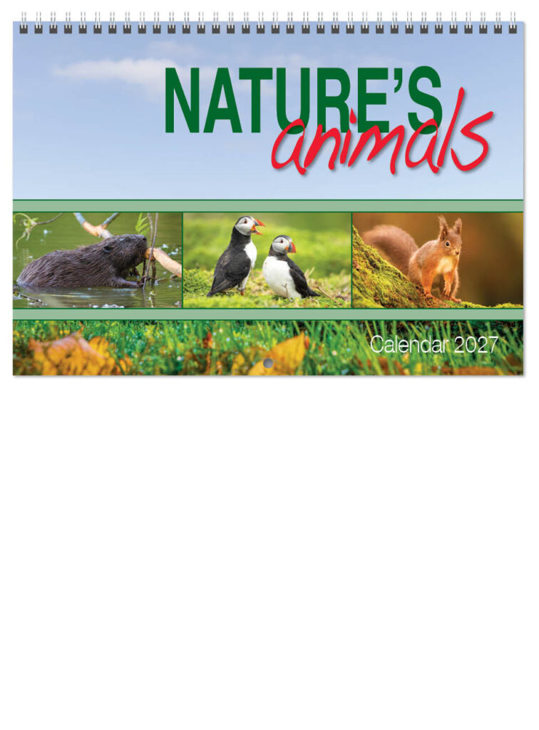 natures-animals-deluxe-central-wiro-2027-cover