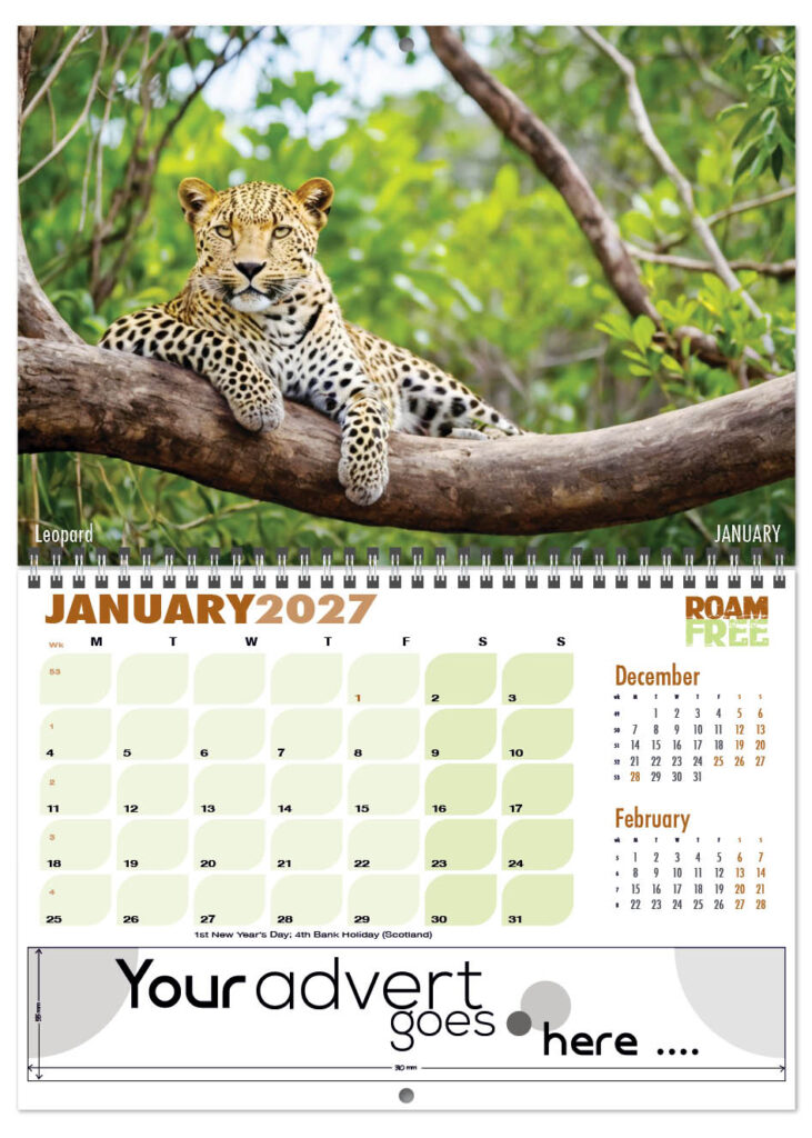 roam-free-deluxe-central-wiro-2027-1