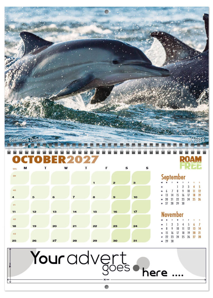 roam-free-deluxe-central-wiro-2027-10