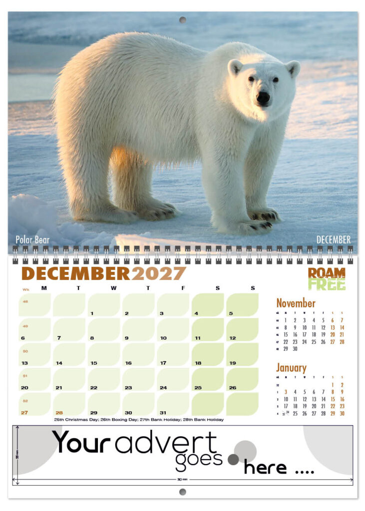 roam-free-deluxe-central-wiro-2027-12