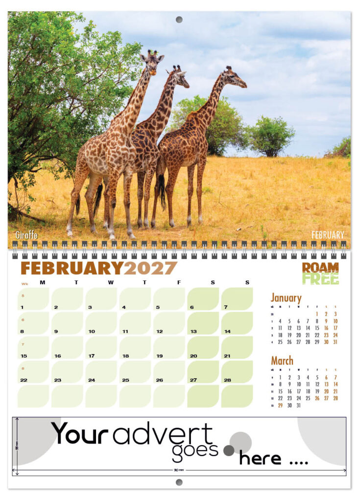 roam-free-deluxe-central-wiro-2027-2