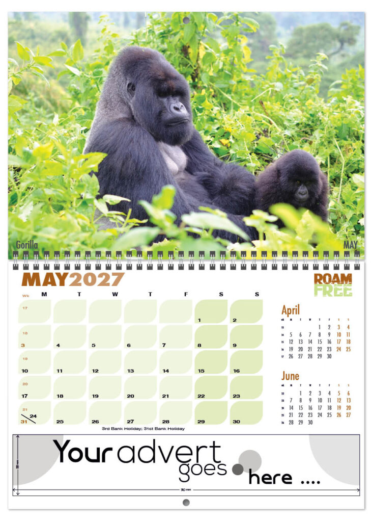 roam-free-deluxe-central-wiro-2027-5