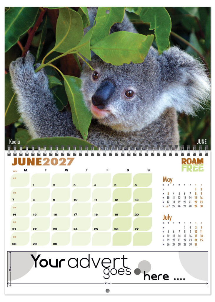 roam-free-deluxe-central-wiro-2027-6