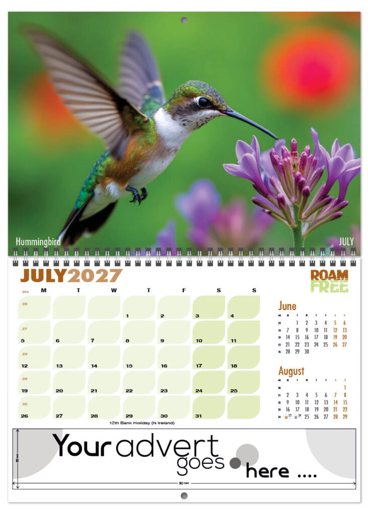 roam-free-deluxe-central-wiro-2027-7