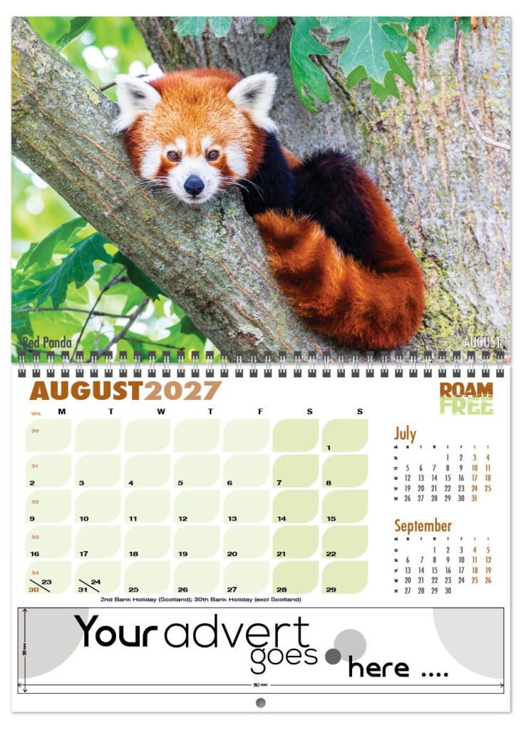 roam-free-deluxe-central-wiro-2027-8