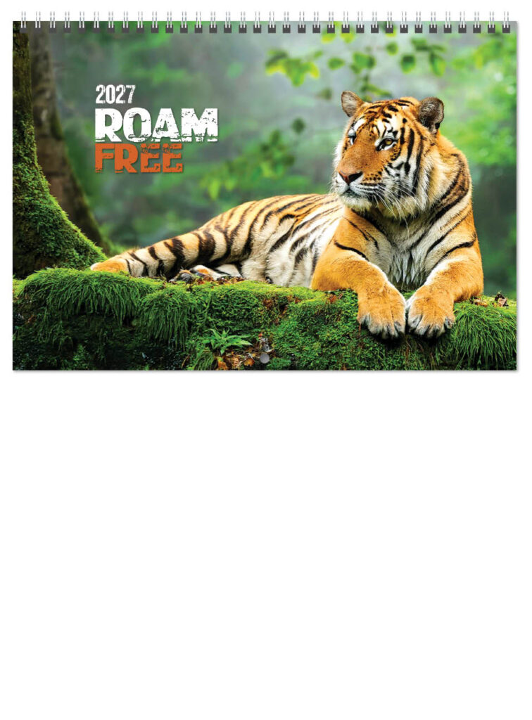 roam-free-deluxe-central-wiro-2027-cover