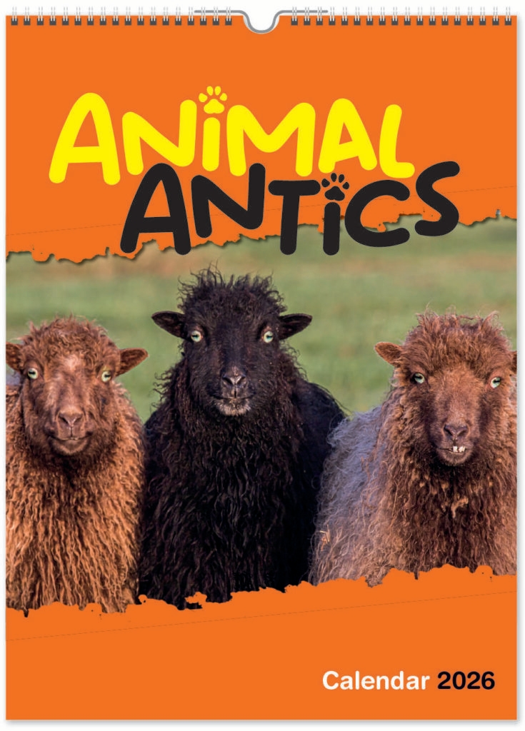 animal-antica-portrait-2026-a-covers