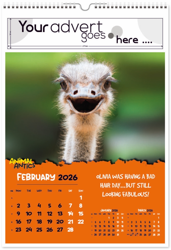 animal-antics-portrait-digi-2026-2