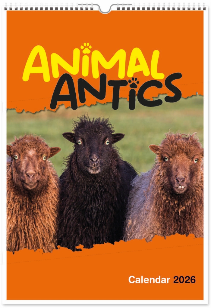 animal-antics-portrait-digi-2026-cover