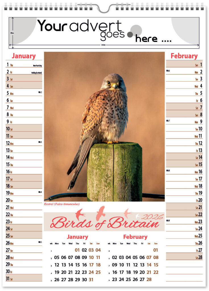 birds-of-briatain-pic-memo-2026-1