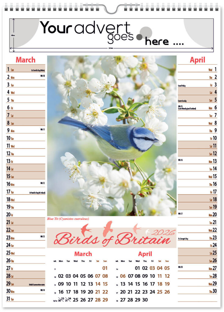 birds-of-briatain-pic-memo-2026-2