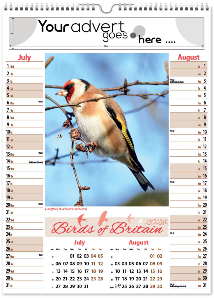 birds-of-briatain-pic-memo-2026-4