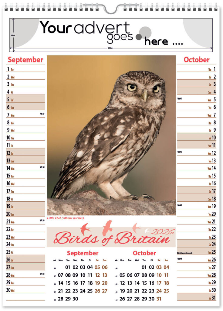 birds-of-briatain-pic-memo-2026-5