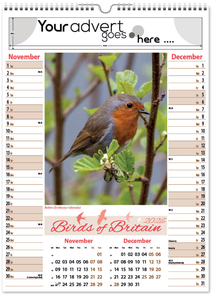 birds-of-briatain-pic-memo-2026-6