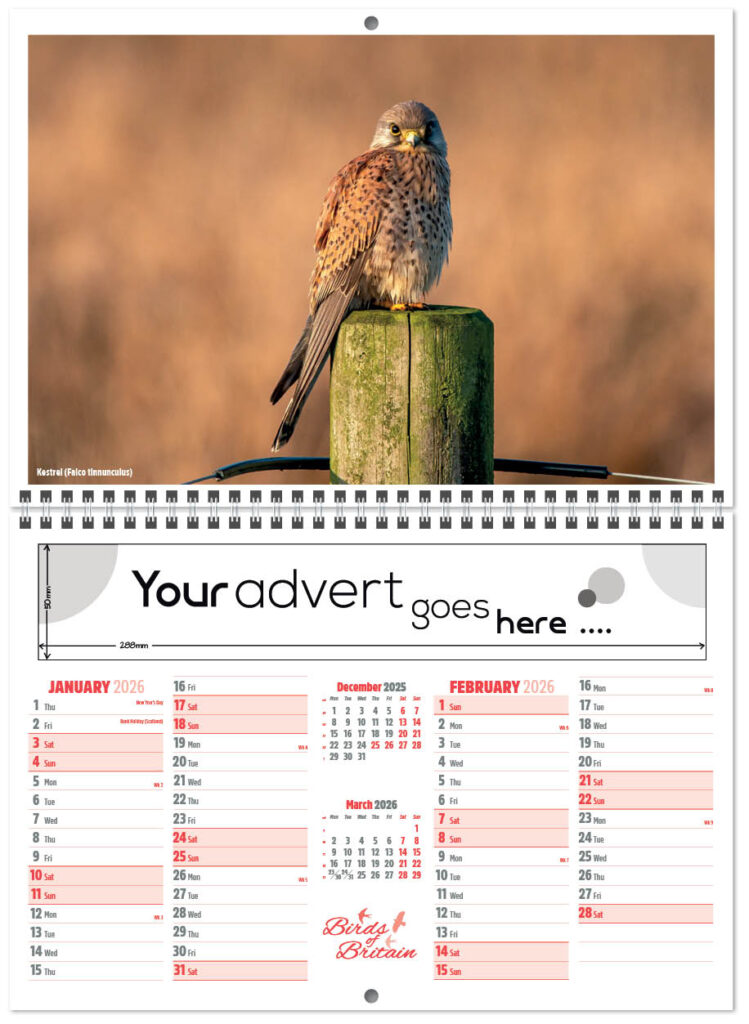 birds-of-britain-central-wiro-2026-a-1