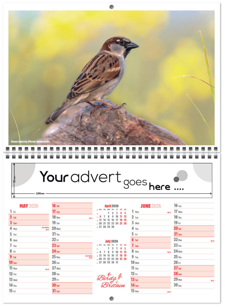 birds-of-britain-central-wiro-2026-a-3