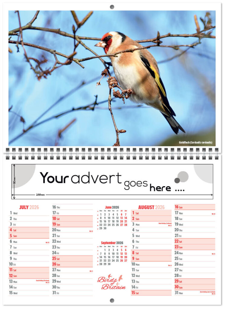 birds-of-britain-central-wiro-2026-a-4