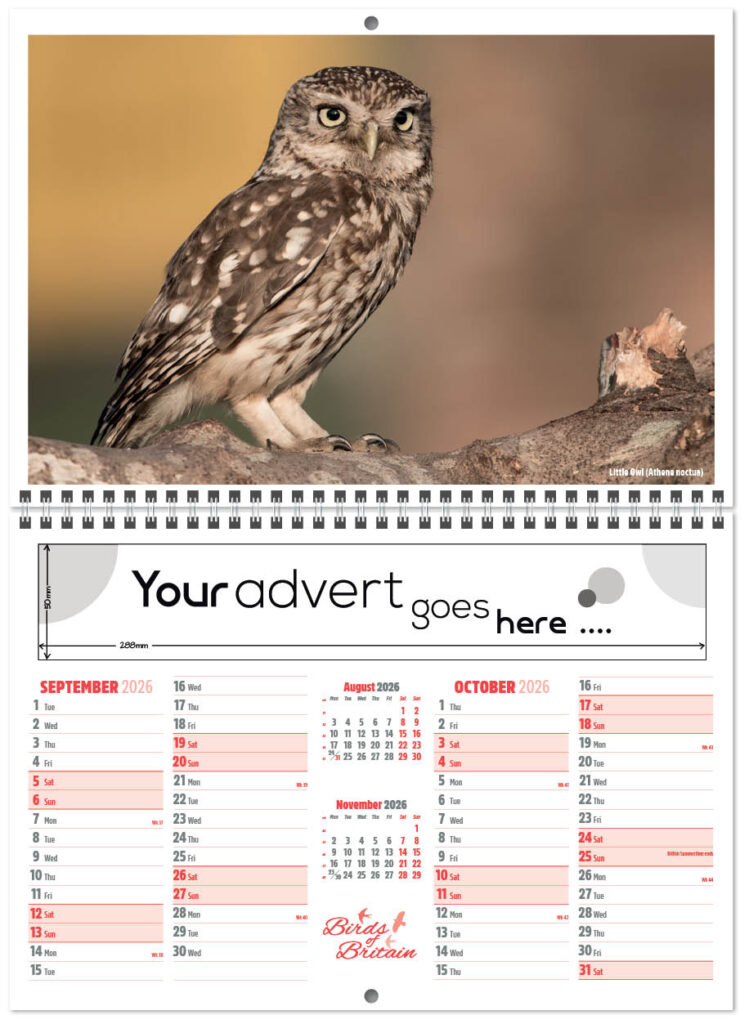 birds-of-britain-central-wiro-2026-a-5