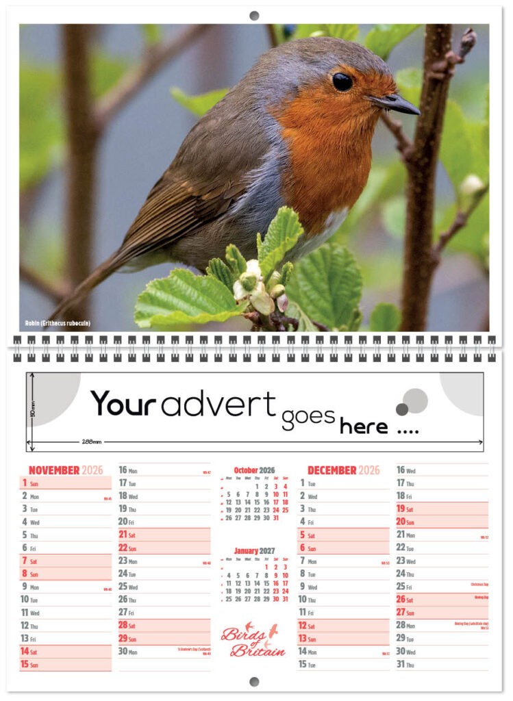 birds-of-britain-central-wiro-2026-a-6