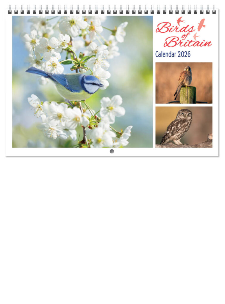 birds-of-britain-central-wiro-2026-a-cover
